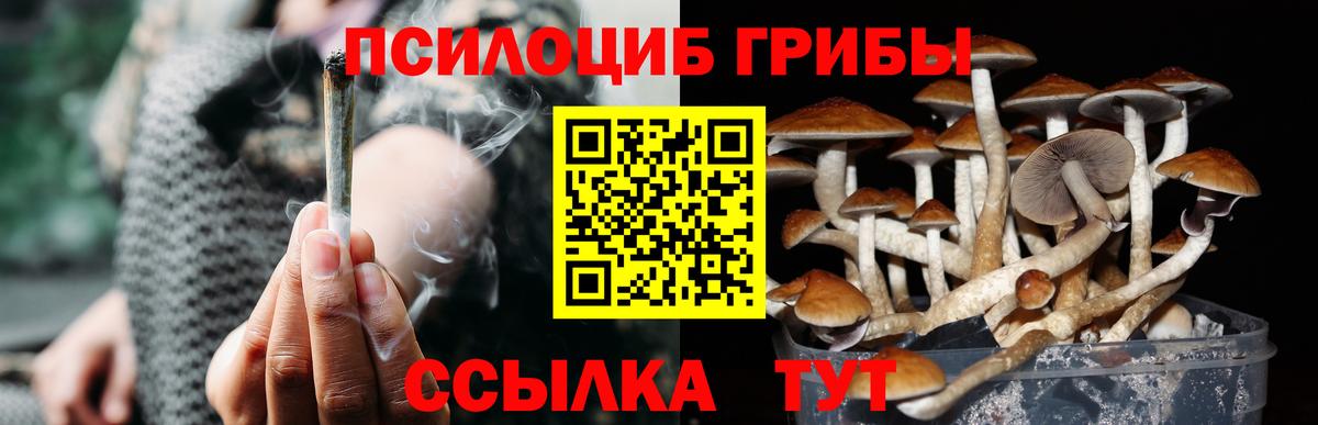 Краснотурьинск  Галлюциногенные грибы прущие грибы  Вход с VPN  Псилоцибиновые грибы ЛСД 