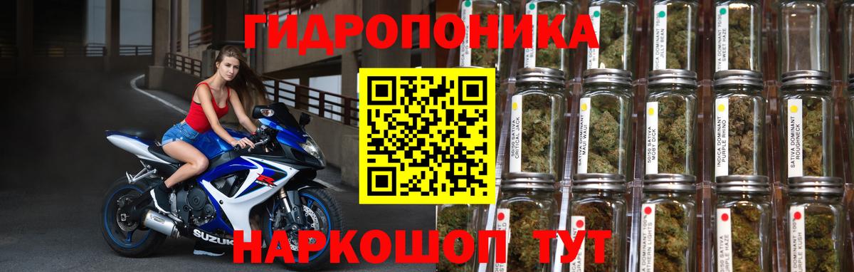 Канабис сатива  Бошки марихуана OG Kush  МАРИХУАНА OG Kush  Вход с VPN  Краснотурьинск  Бошки марихуана Amnesia 